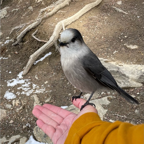 ♥️ - Picture 2 of 6